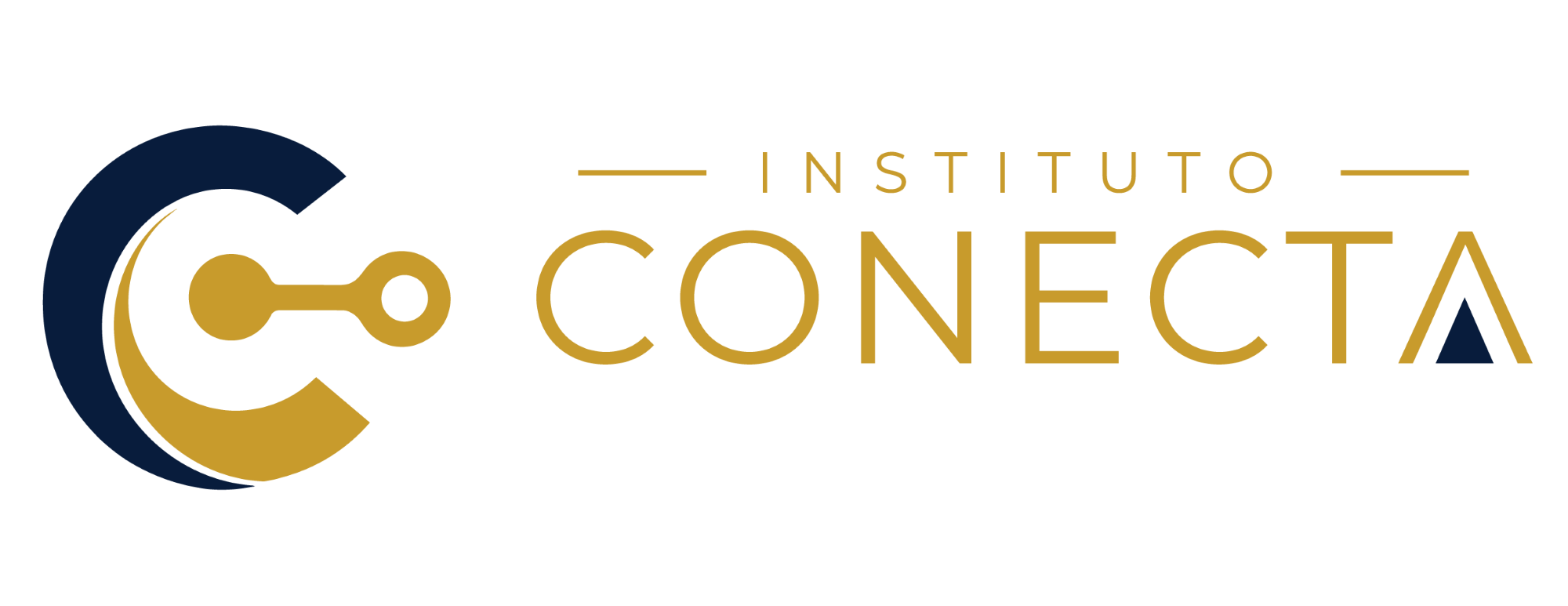 INSTITUTO CONECTA